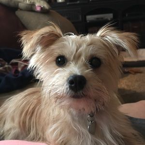 Meet your Posher, Micki